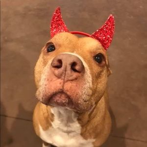 Meet your Posher, Nina